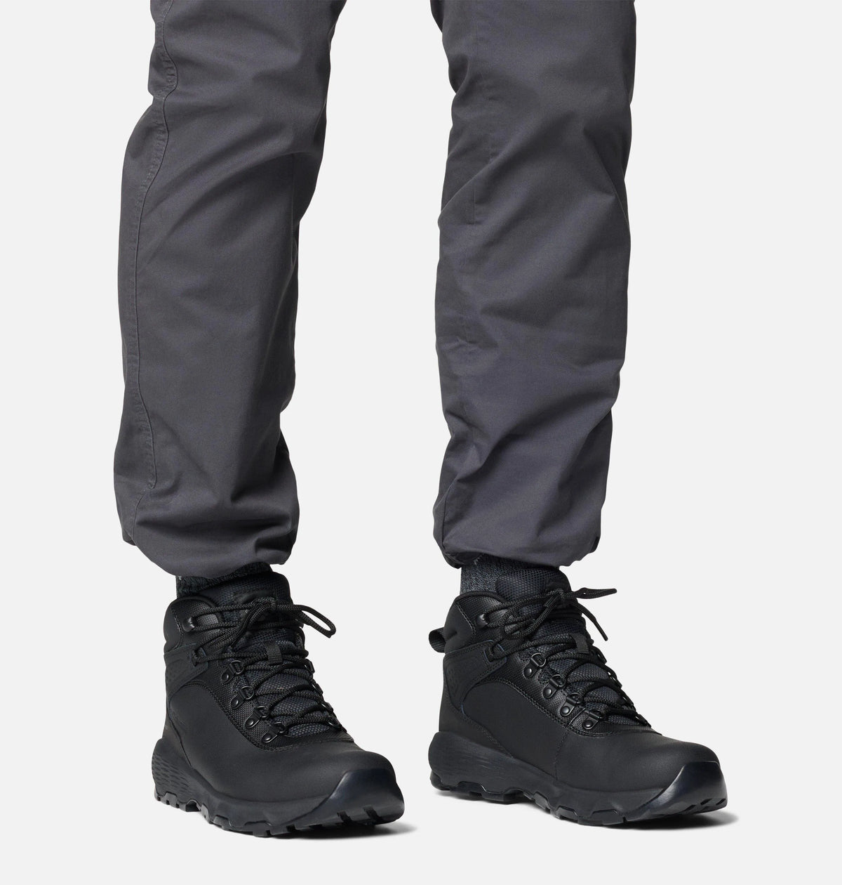 Black, Shark