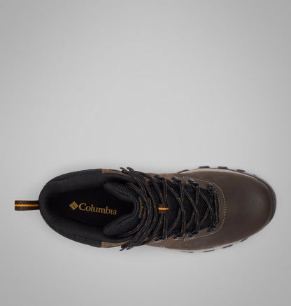 Cordovan, Squash