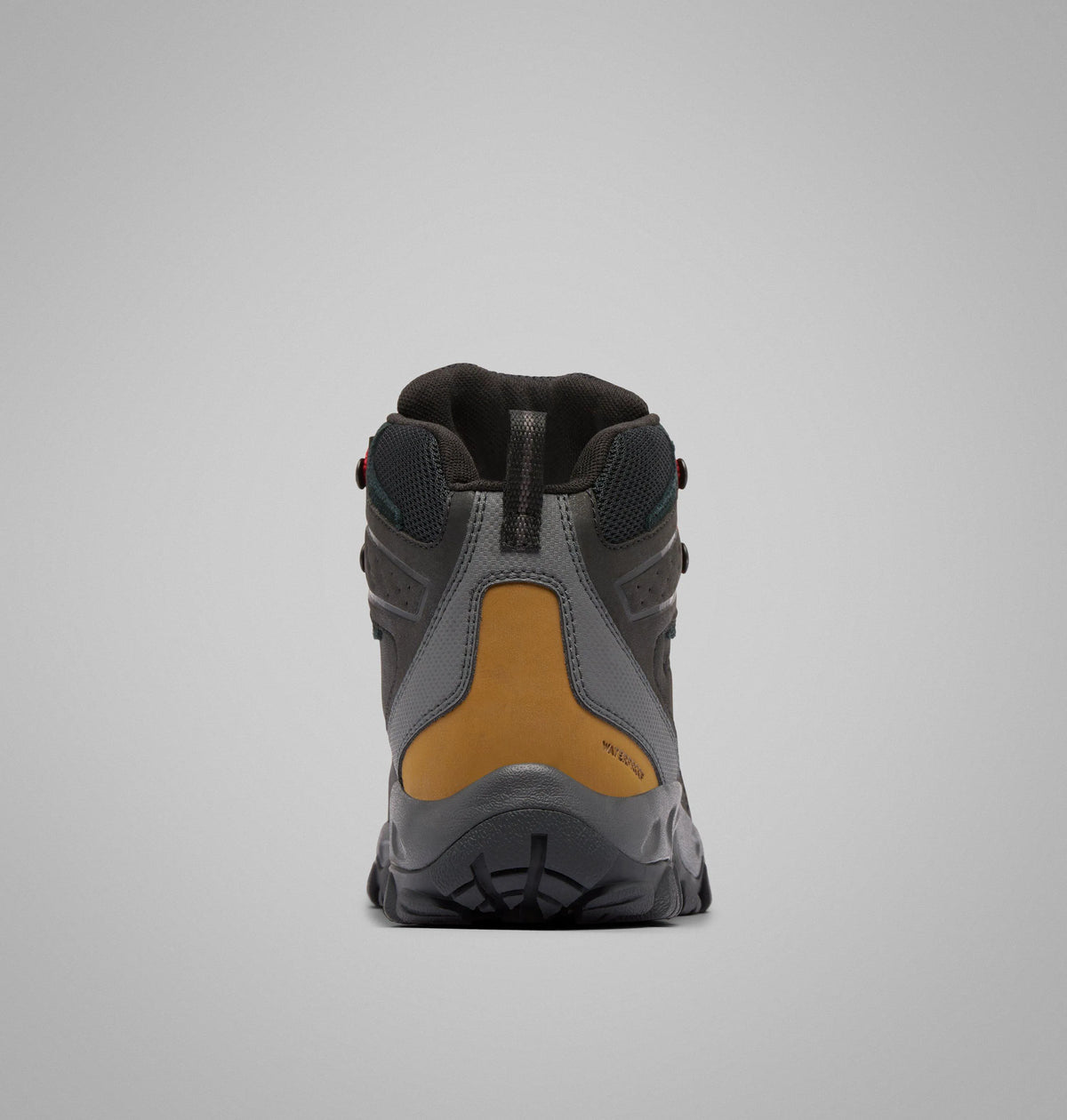 Black, Shark