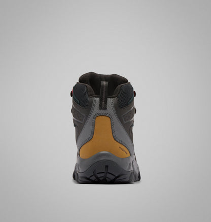 Black, Shark