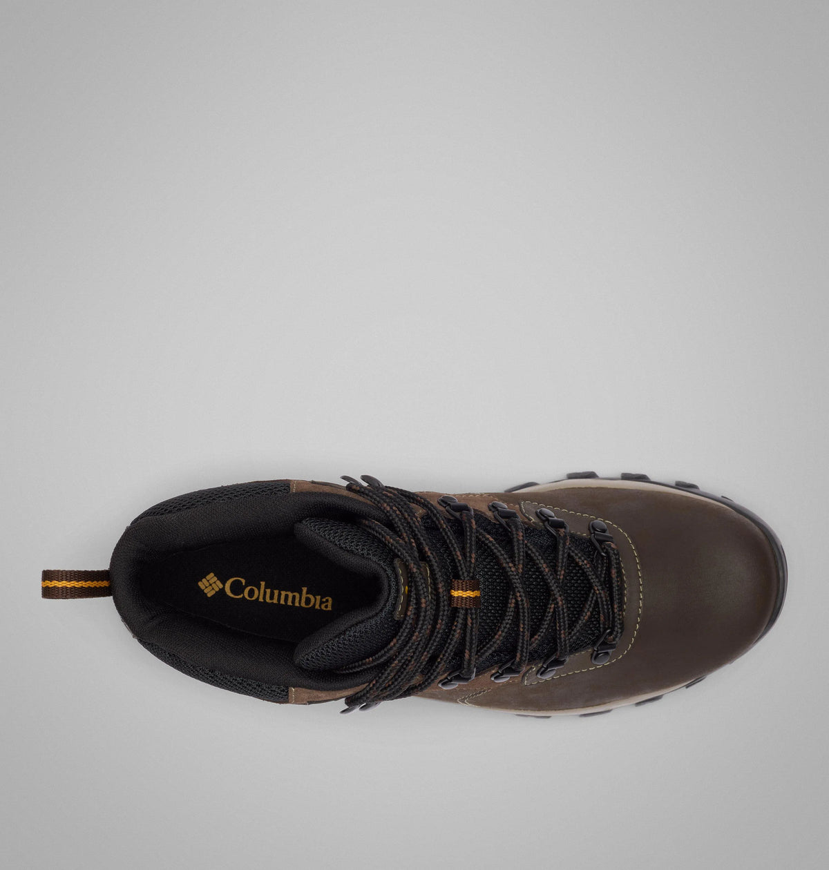 Cordovan, Squash