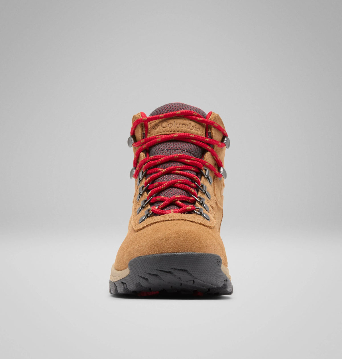 Elk, Mountain Red