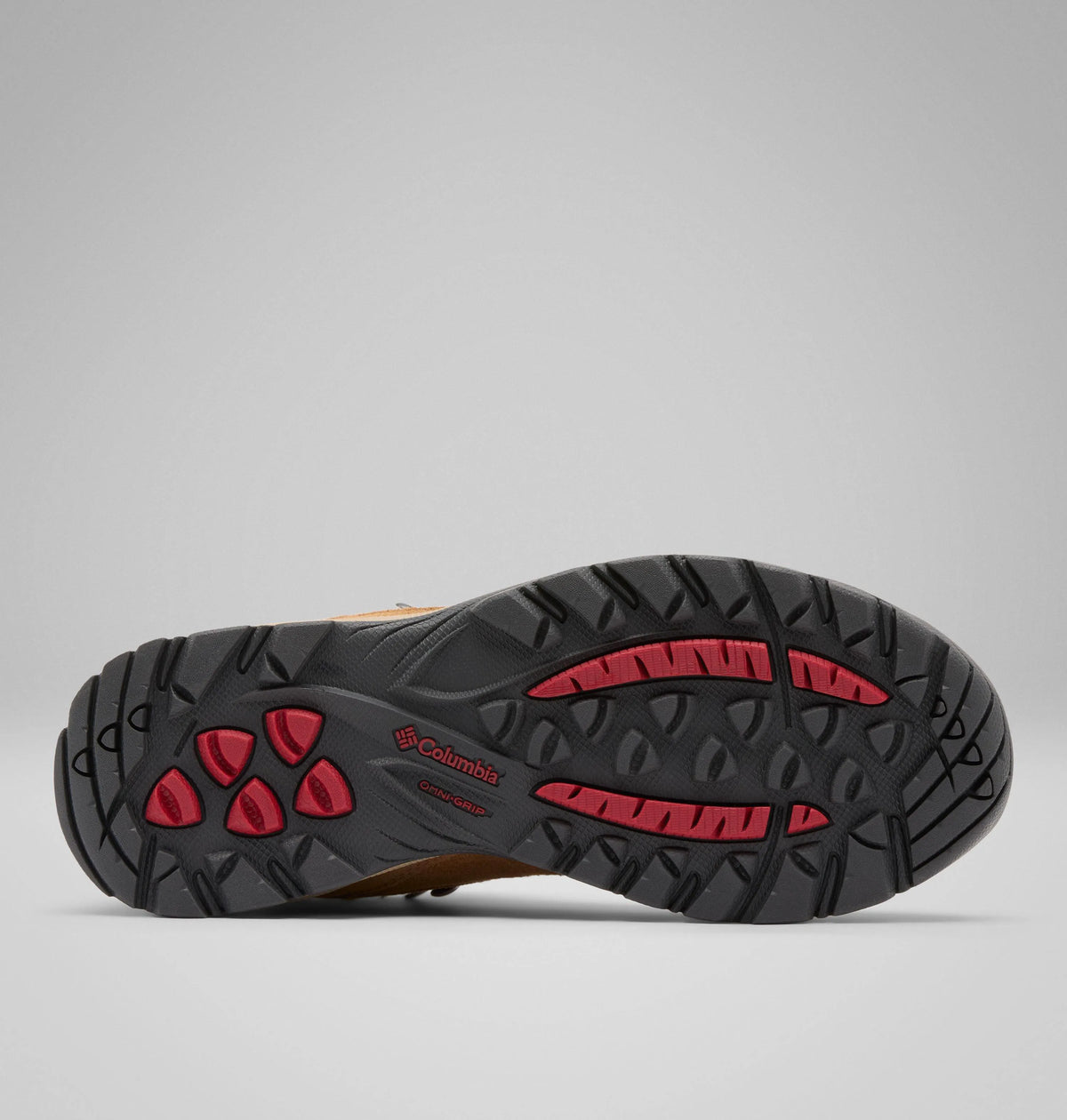 Elk, Mountain Red