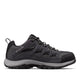 Shark, Columbia Grey