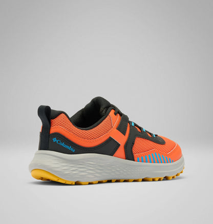 Tangy Orange, Compass Blue