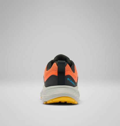 Tangy Orange, Compass Blue
