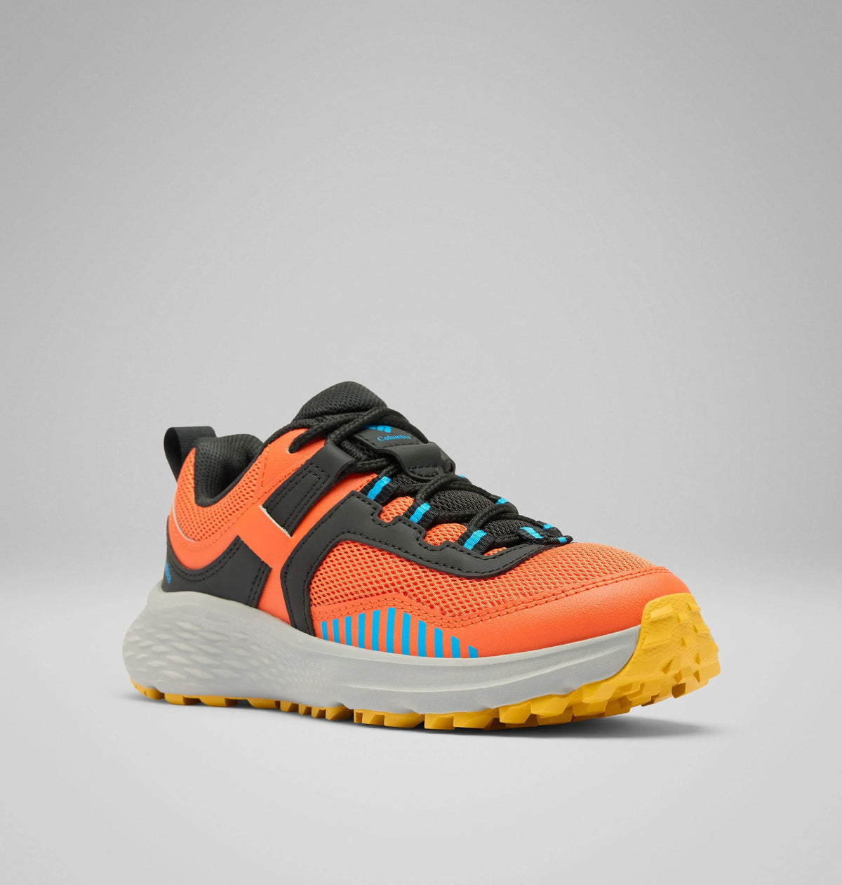 Tangy Orange, Compass Blue