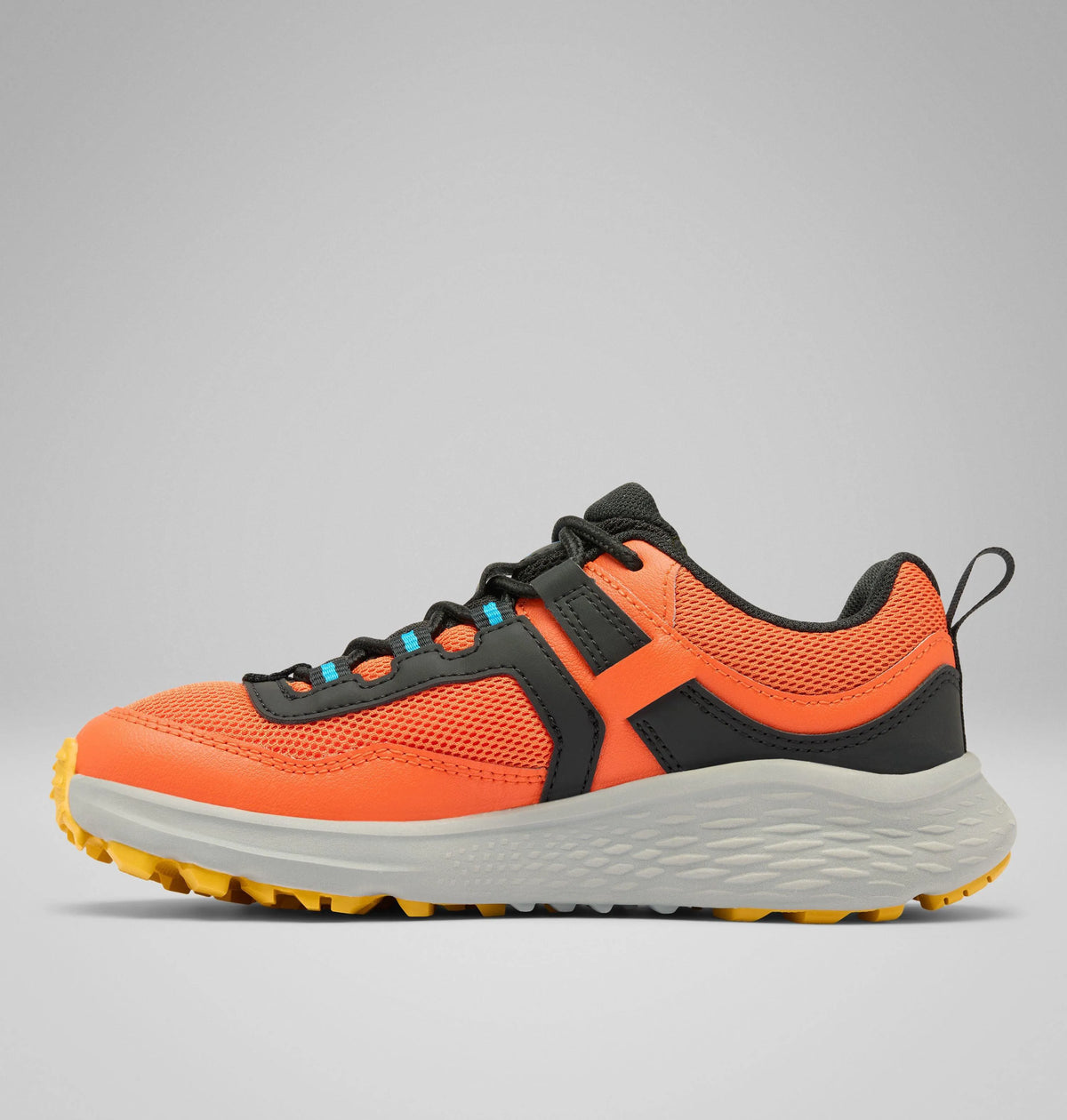 Tangy Orange, Compass Blue