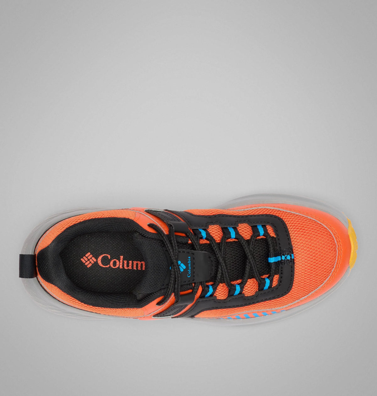 Tangy Orange, Compass Blue