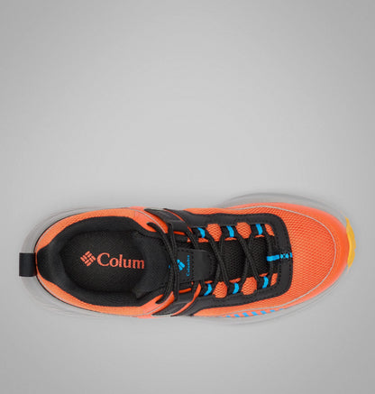 Tangy Orange, Compass Blue