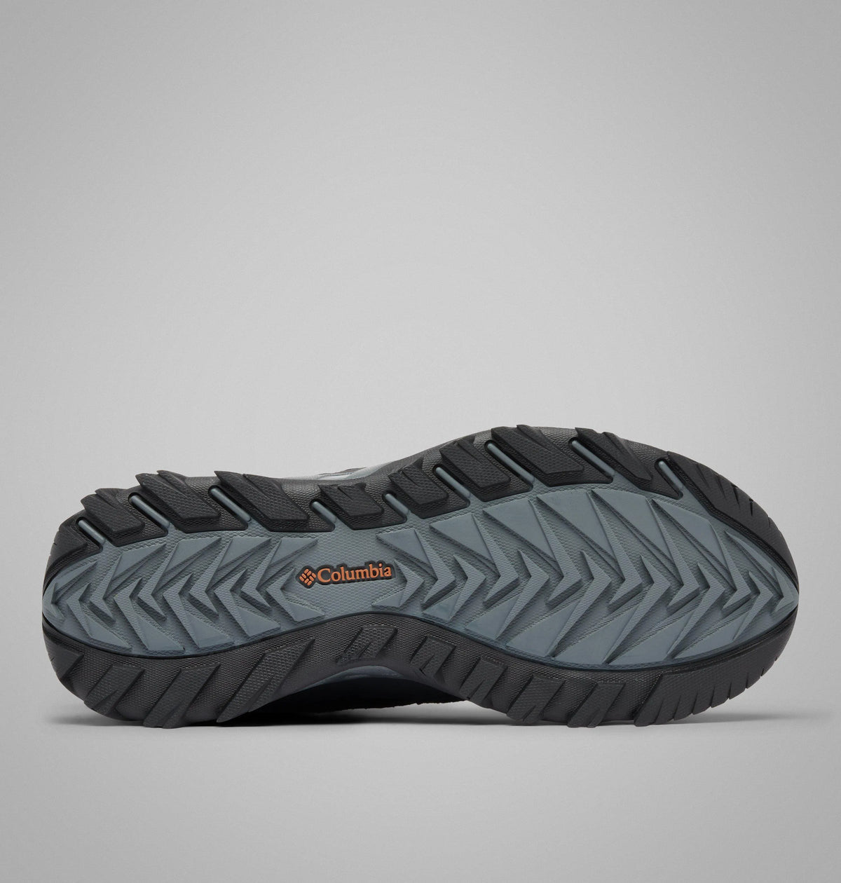Black, Owl