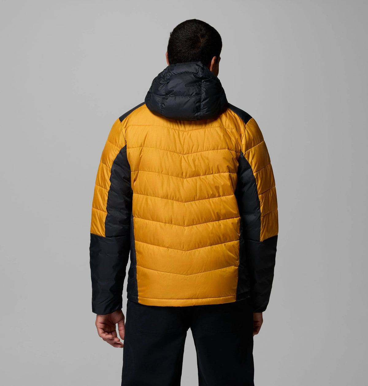 Squash, Black