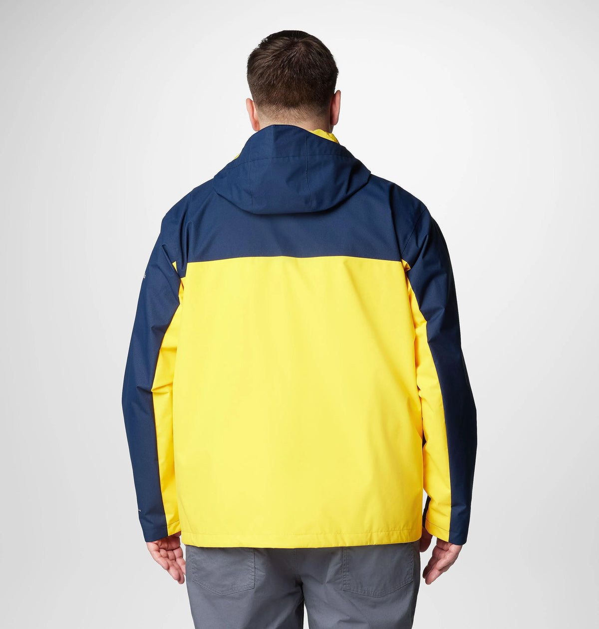 UM - Collegiate Navy, Yellow