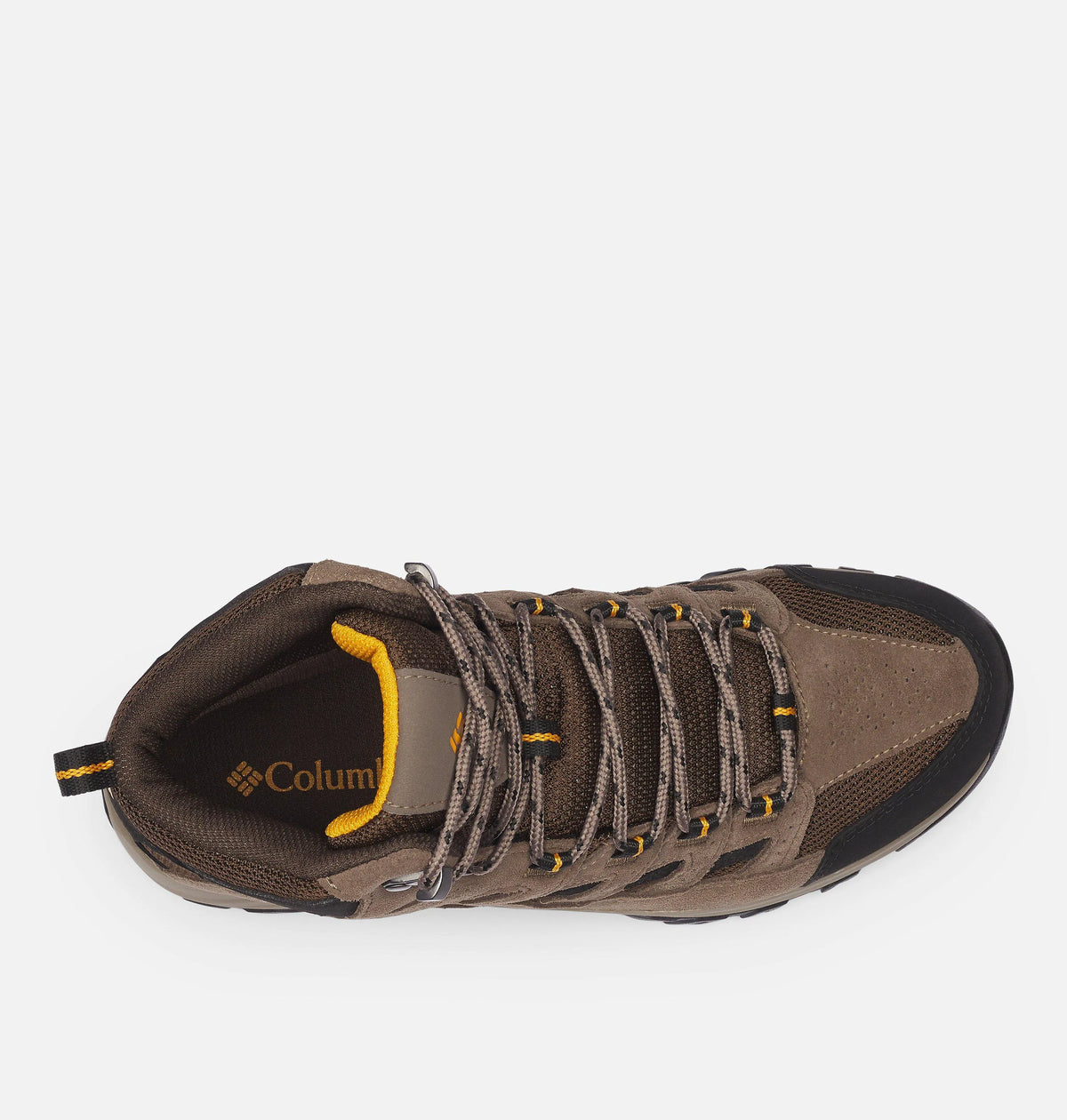 Cordovan, Squash