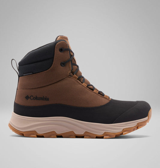 Grizzly Bear, Black