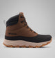 Grizzly Bear, Black
