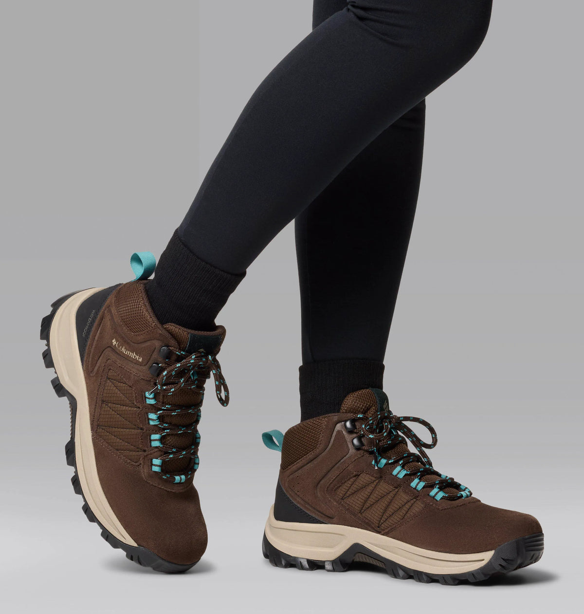 Cordovan, Teal
