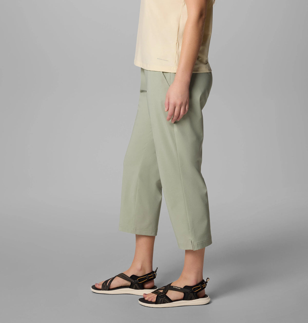 Safari