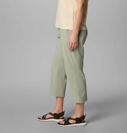 Safari