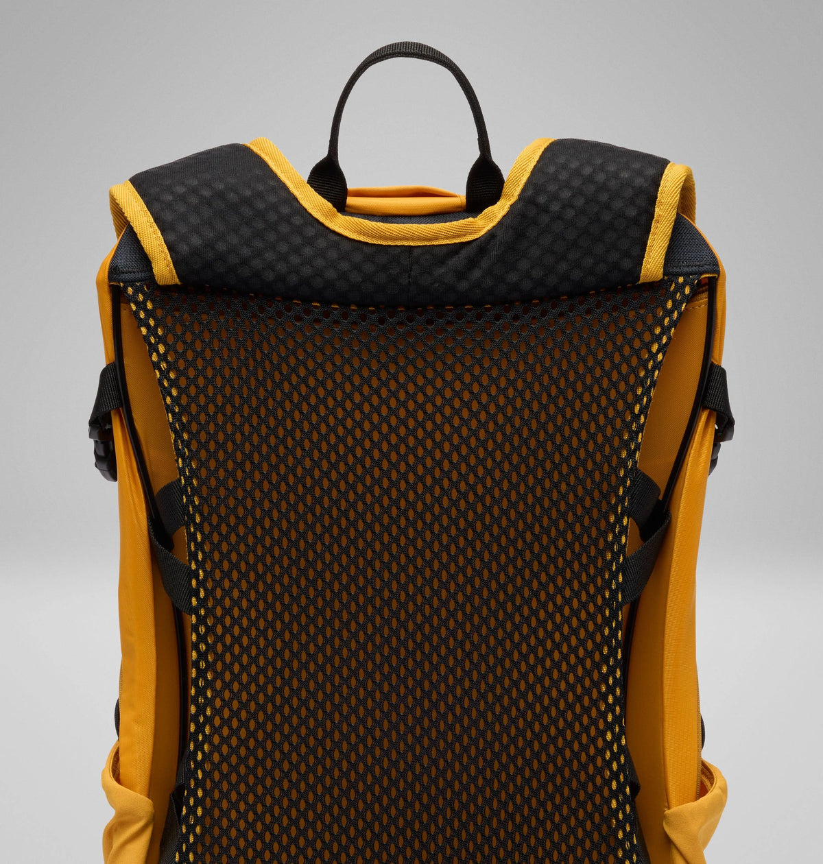 Squash, Black