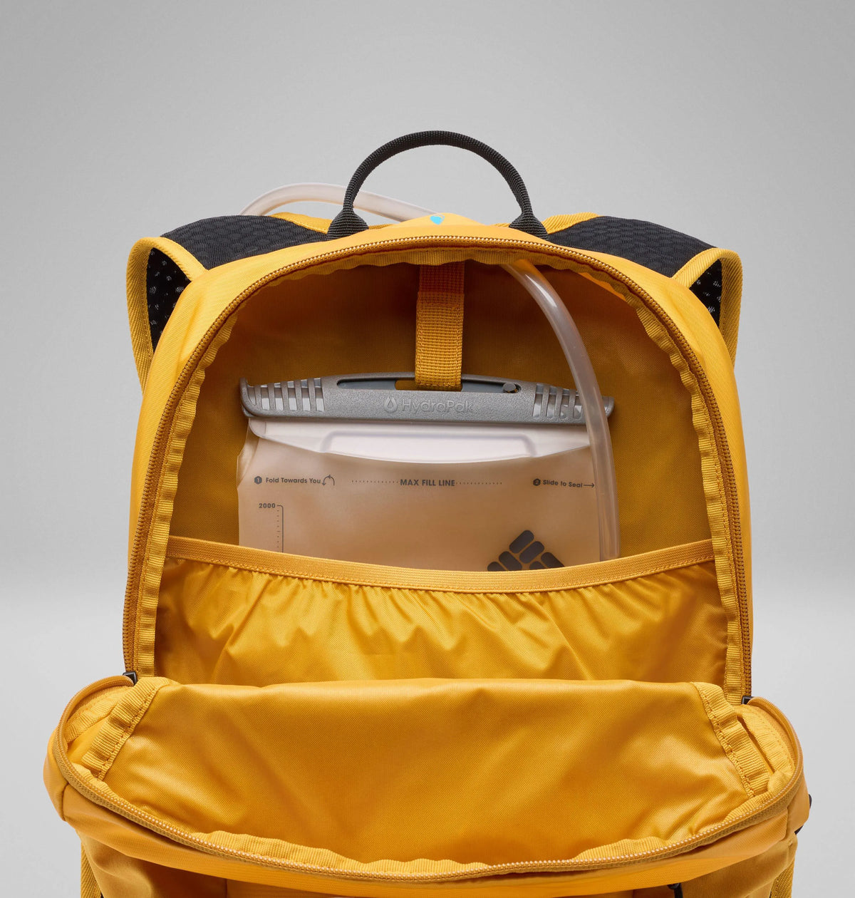 Squash, Black