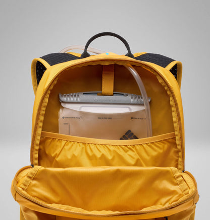 Squash, Black
