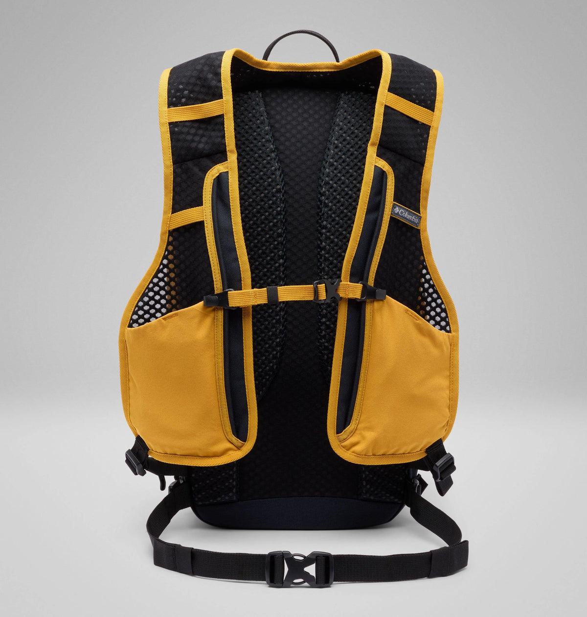Squash, Black