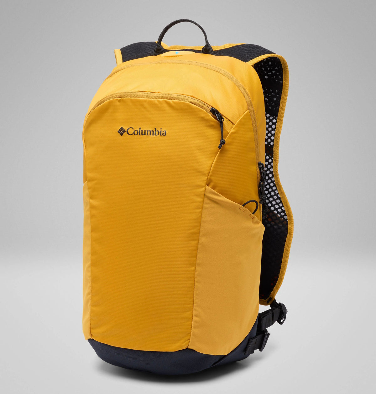 Squash, Black