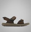 Cordovan, Black