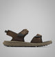 Cordovan, Black