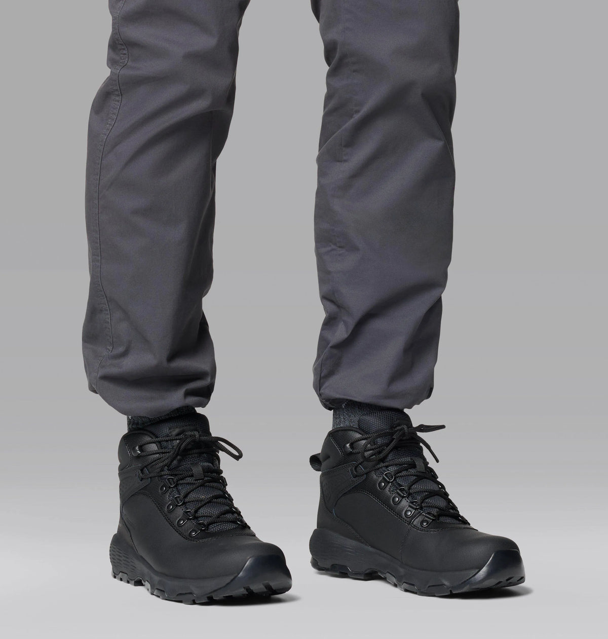 Black, Shark