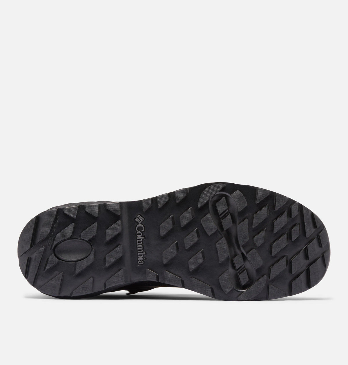 Black, Shark