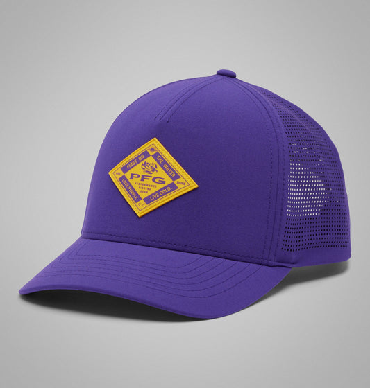 LSU - Vivid Purple