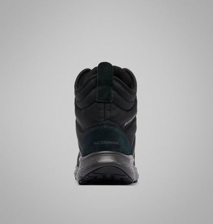 Black, Titanium II
