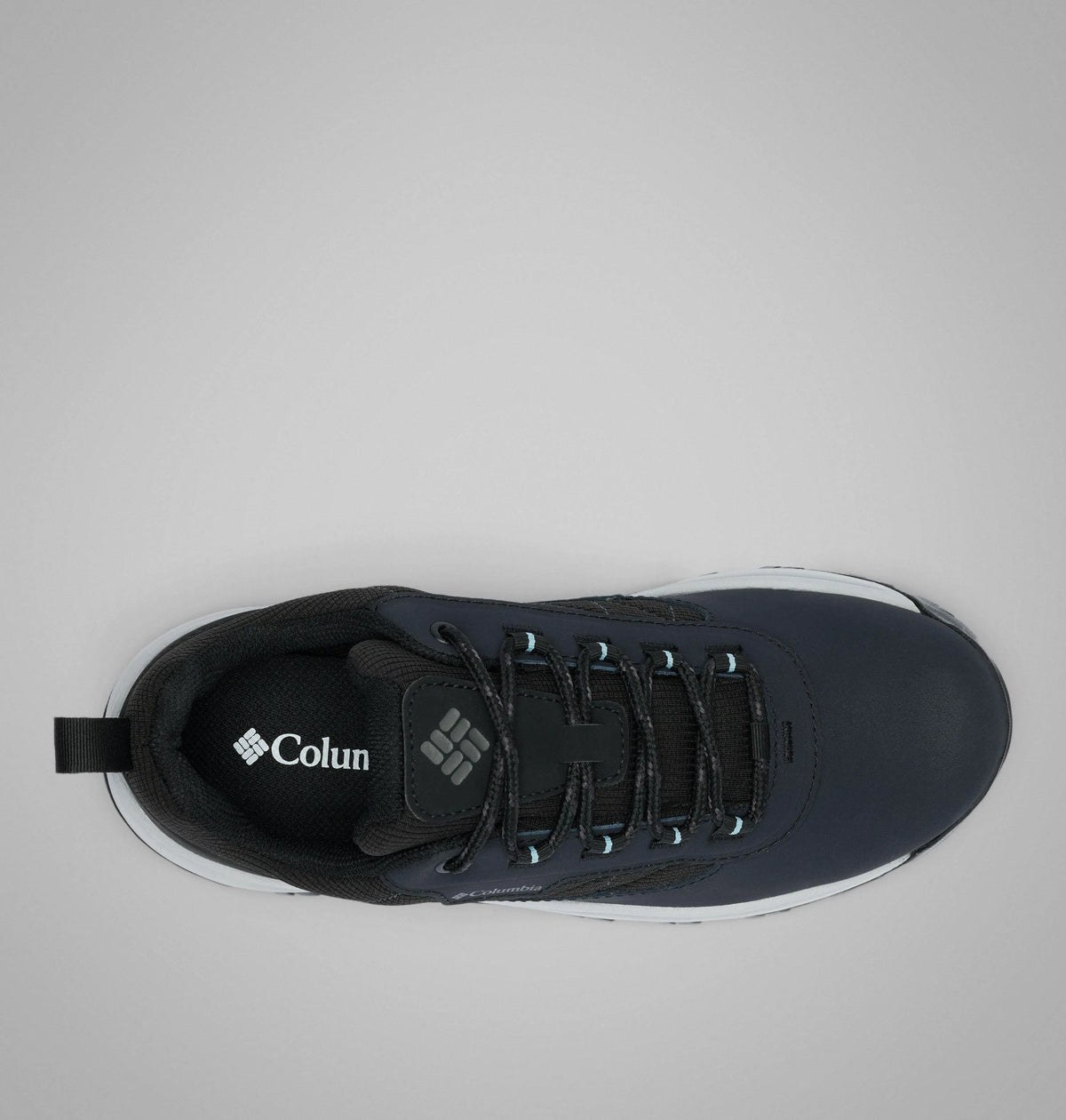 Black, Marine Light