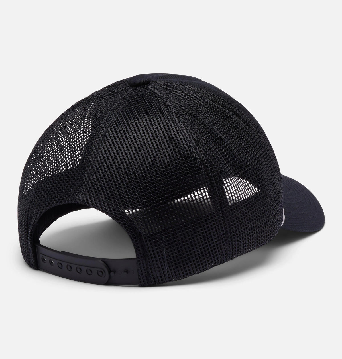 Black, Bear