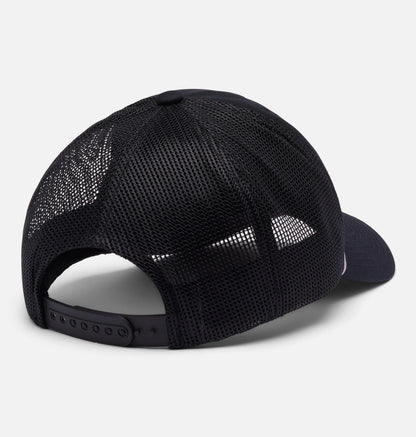 Black, Bear