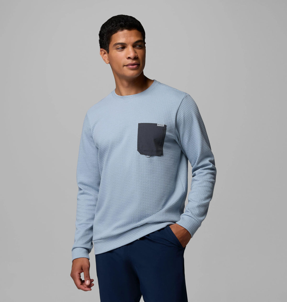 Dockside Blue, Shark