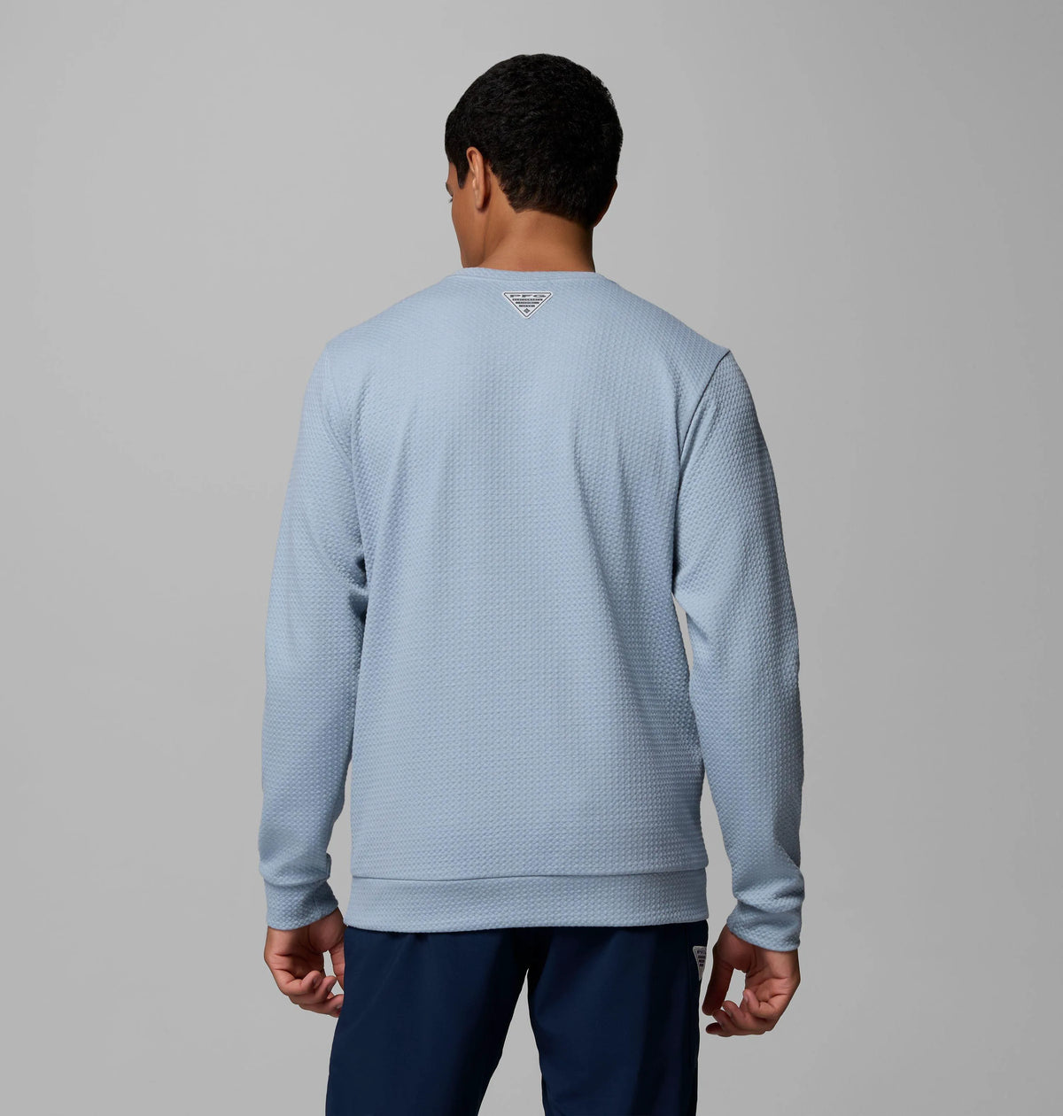 Dockside Blue, Shark