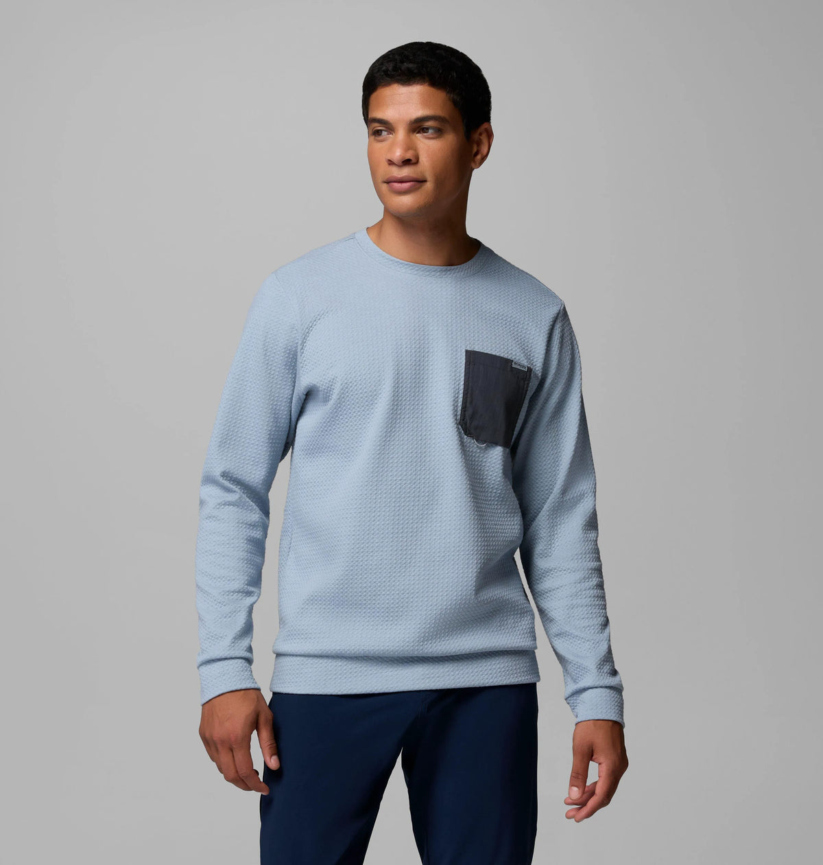 Dockside Blue, Shark