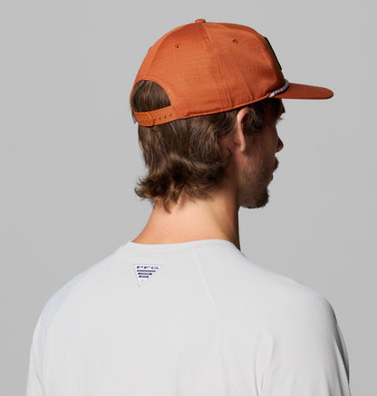 TEX - Cedar