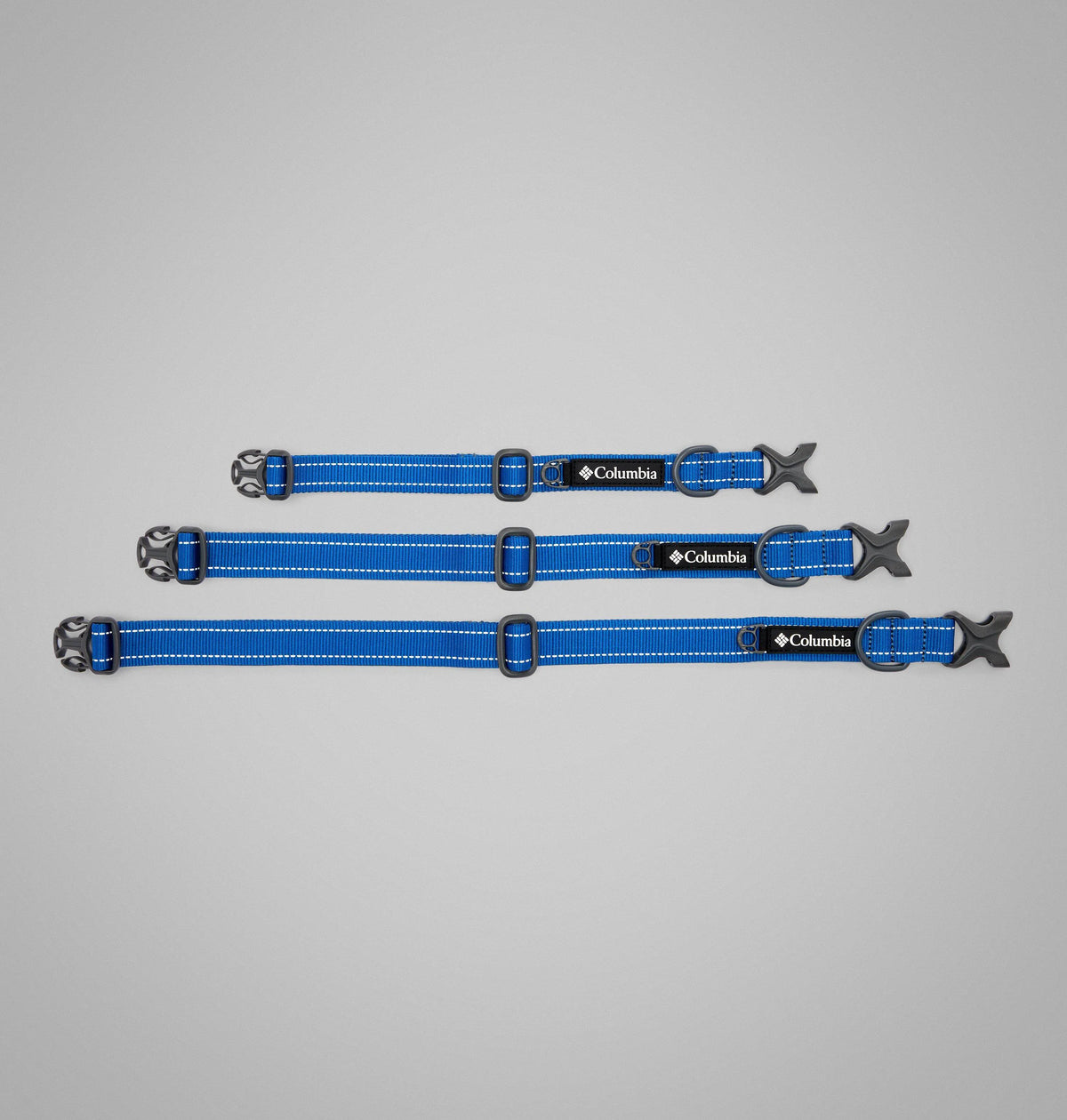 Bright Indigo
