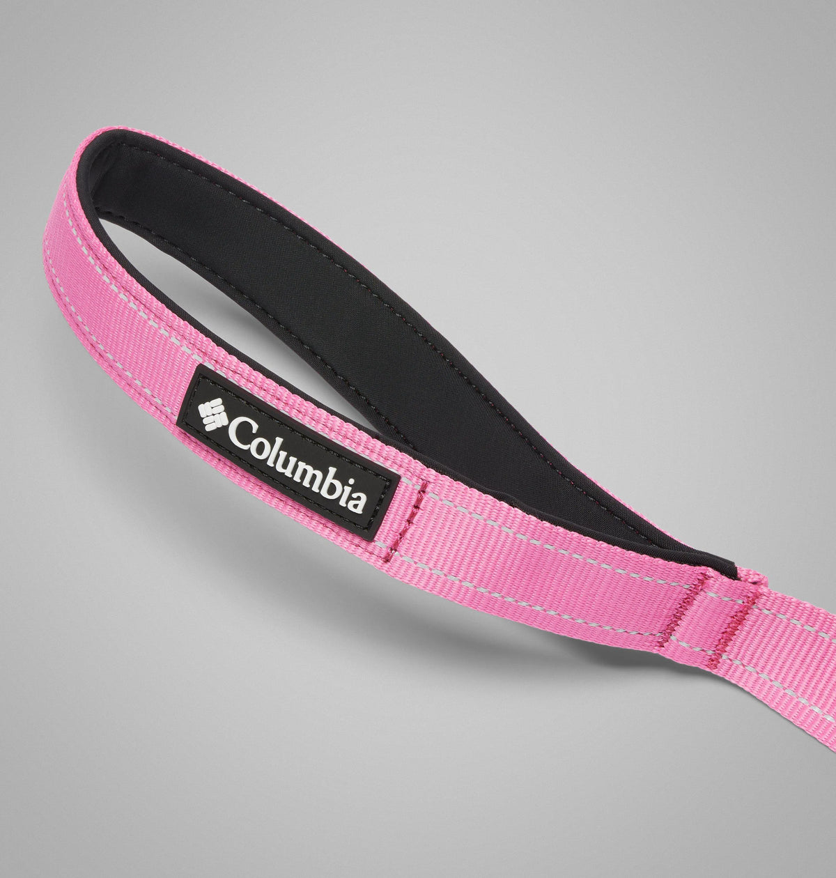 Wild Geranium