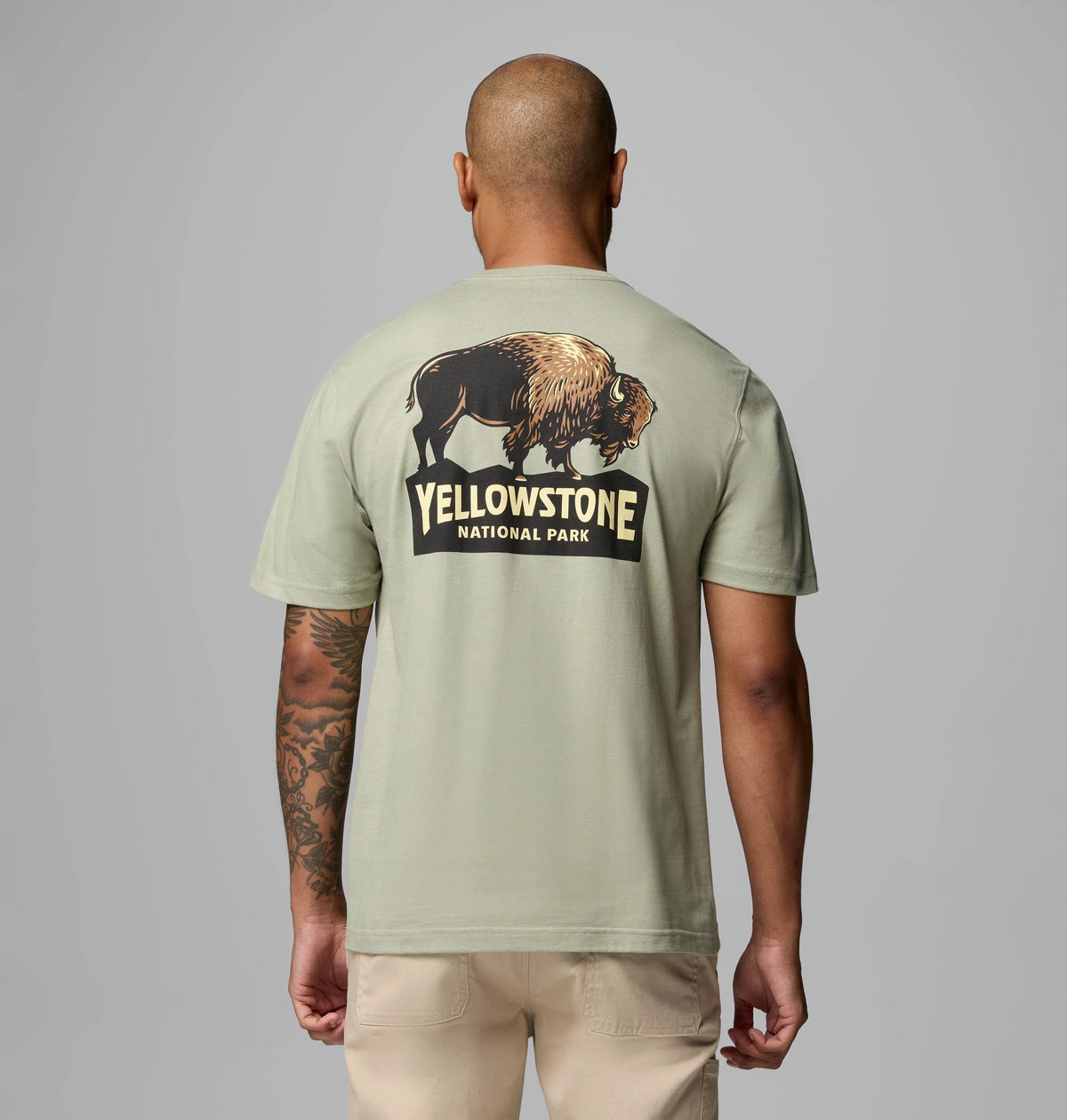 SAFARI