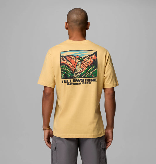 SAND DUNE