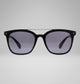 Shiny Black/Grey Lens